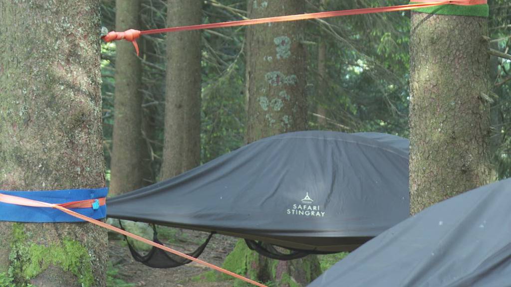 Kanton Luzern: Übernachtung im Treetent am Pilatus