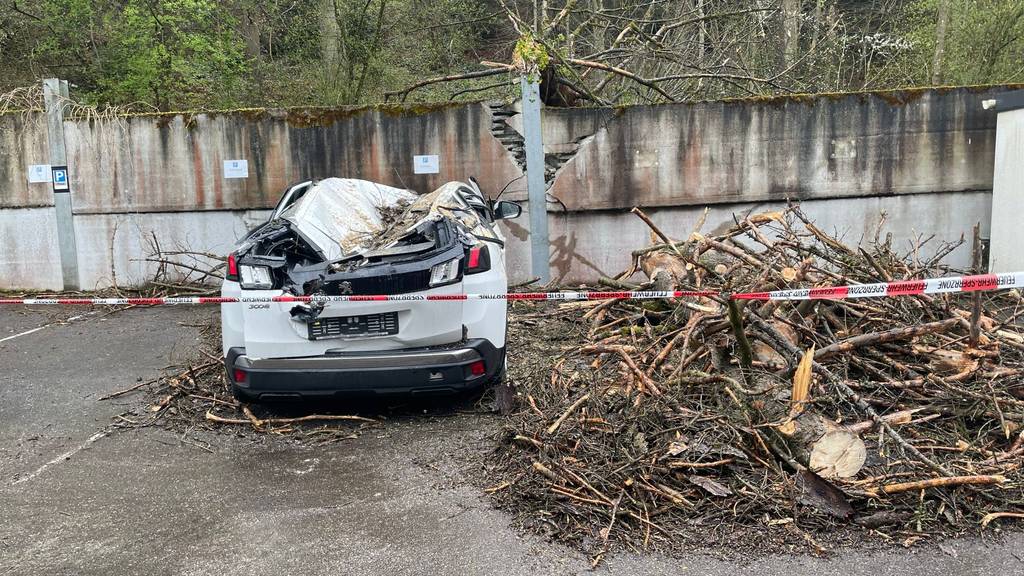 Baum fällt auf zwei Autos und beschädigt eine Stützmauer