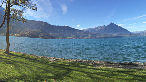  Auf dem Inseli beim Neuhaus in Unterseen befindet sich eine kleine Liegewiese mit imposantem Ausblick über den Thunersee.