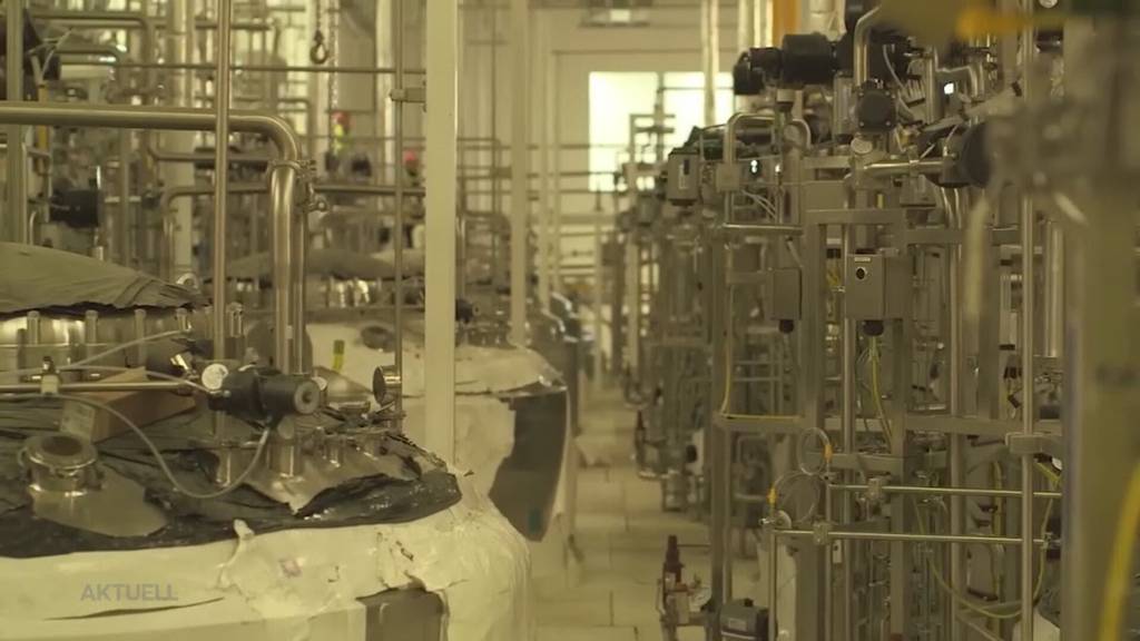 Tödlicher Arbeitsunfall: In Luterbach stirbt ein 59-Jähriger in der Firma Biogen