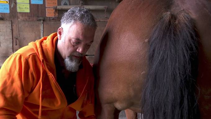 Mit Fingerspitzengefühl: Rheintaler «Knochenbrecher» bringt Tiere wieder ins Lot