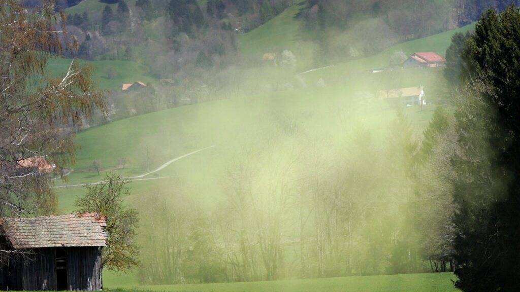 Vor 100 Jahren war Heuschnupfen in der Schweiz weitgehend unbekannt, heute ist rund jede fünfte Person in der Schweiz davon betroffen. (Archivbild)