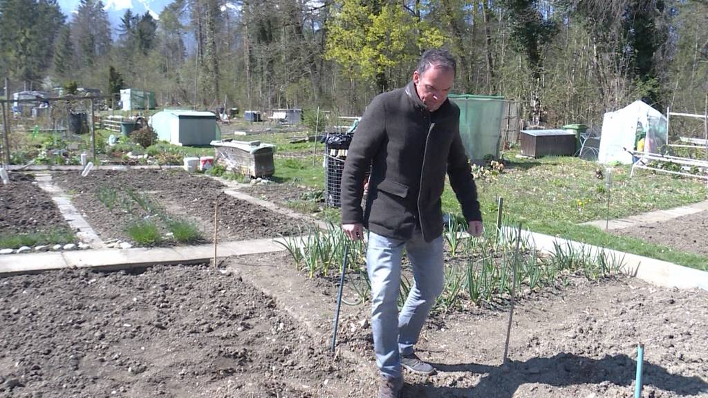 Schrebergarten in Allmendingen wegen Metallteilen lahmgelegt