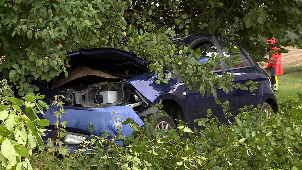 Auto landet in der Wiese: 33-Jähriger baut Selbstunfall in Egg