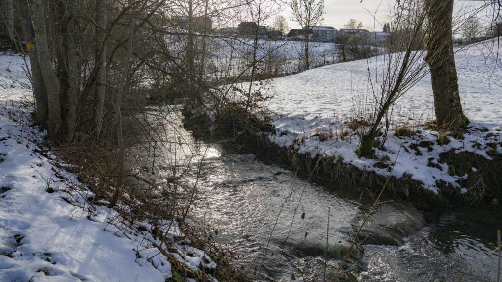 Im Fluss Wyna im Kanton Luzern wurden in den letzten Monaten sehr hohe Pestizidrückstande mit dem hochgiftigen Wirkstoff Deltamethrin festgestellt.