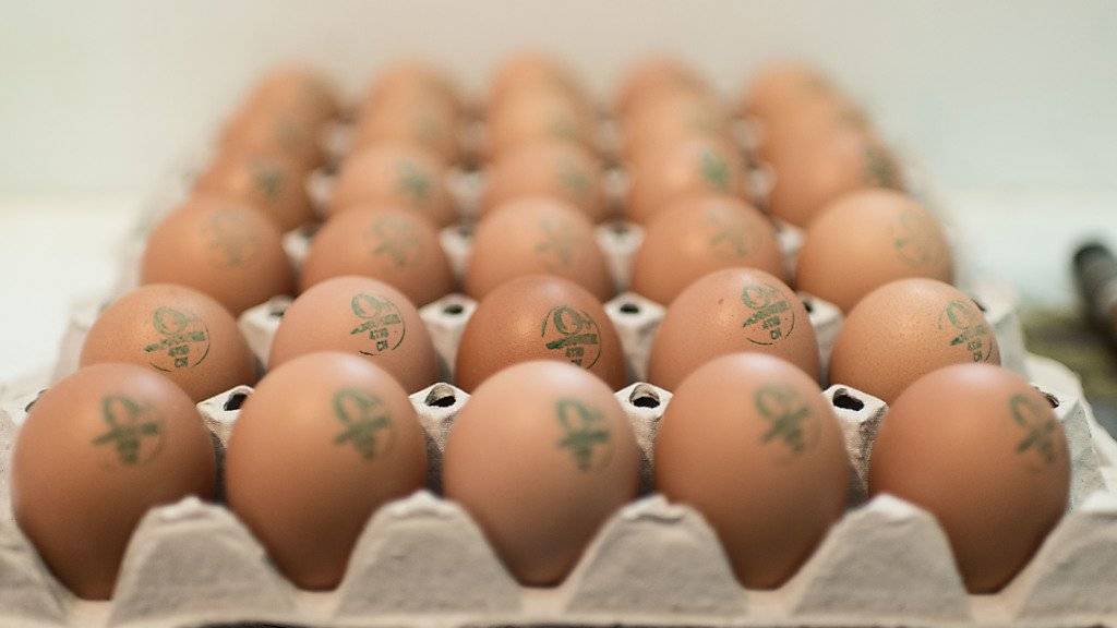 In der Schweiz werden pro Jahr 177 Eier pro Kopf gegessen. Stark zulegen konnten die Bio-Eier. Ihr Absatz stieg um 7,6 Prozent. (Symbolbild)