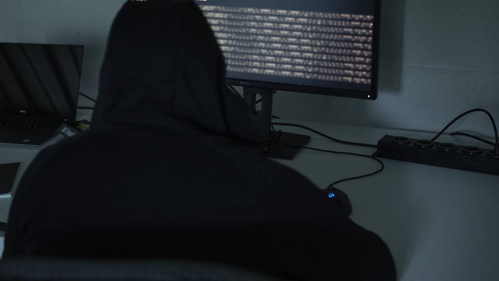 Bei rund der Hälfte aller Cyberkriminaldelikte kann mit der Online-Strafanzeige auf den Gang zum Polizeiposten verzichtet werden. (Symbolbild)