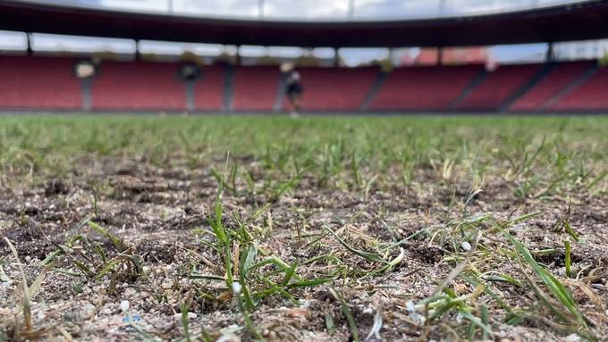Kurz vor dem Derby: Letzi-Rasen ist in katastrophalem Zustand