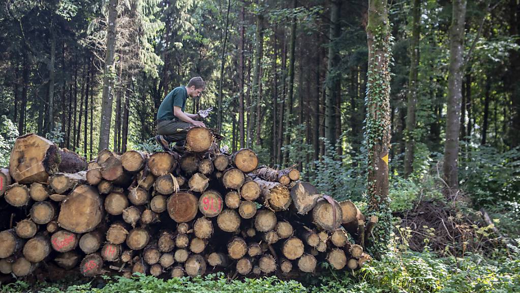 Für optisch einwandfreies Holz braucht es mitunter Pflanzenschutzmittel. Der Kanton Bern möchte die eingesetzte Menge aber reduzieren. (Symbolbild)