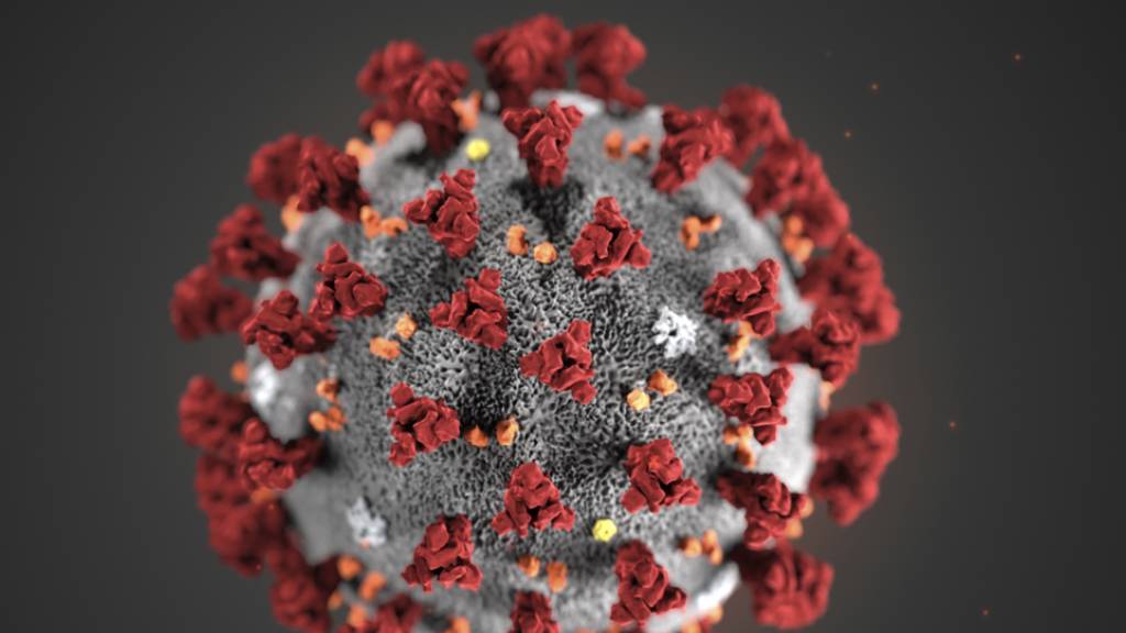 Die Zahl der definitiv bestätigten Coronavirus-Fälle in der Schweiz ist innert 24 Stunden um 31 gestiegen.
