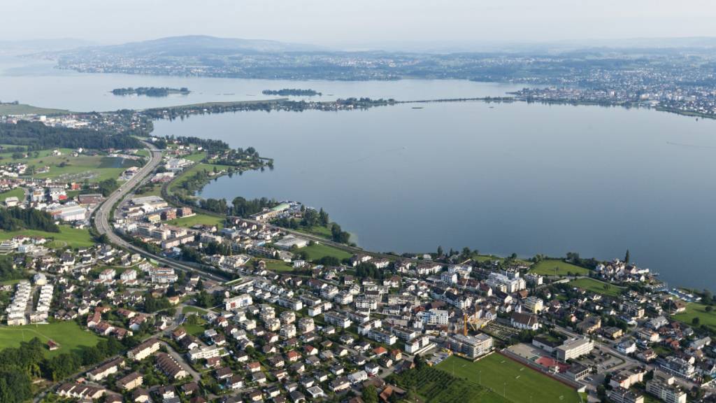 Gülle gelangt in Bach und verursacht Fischsterben in Altendorf SZ