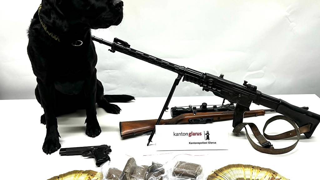 Der Betäubungsmittel- und Banknoten-Spürhund Flake war bei der Hausdurchsuchung in Glarus dabei.