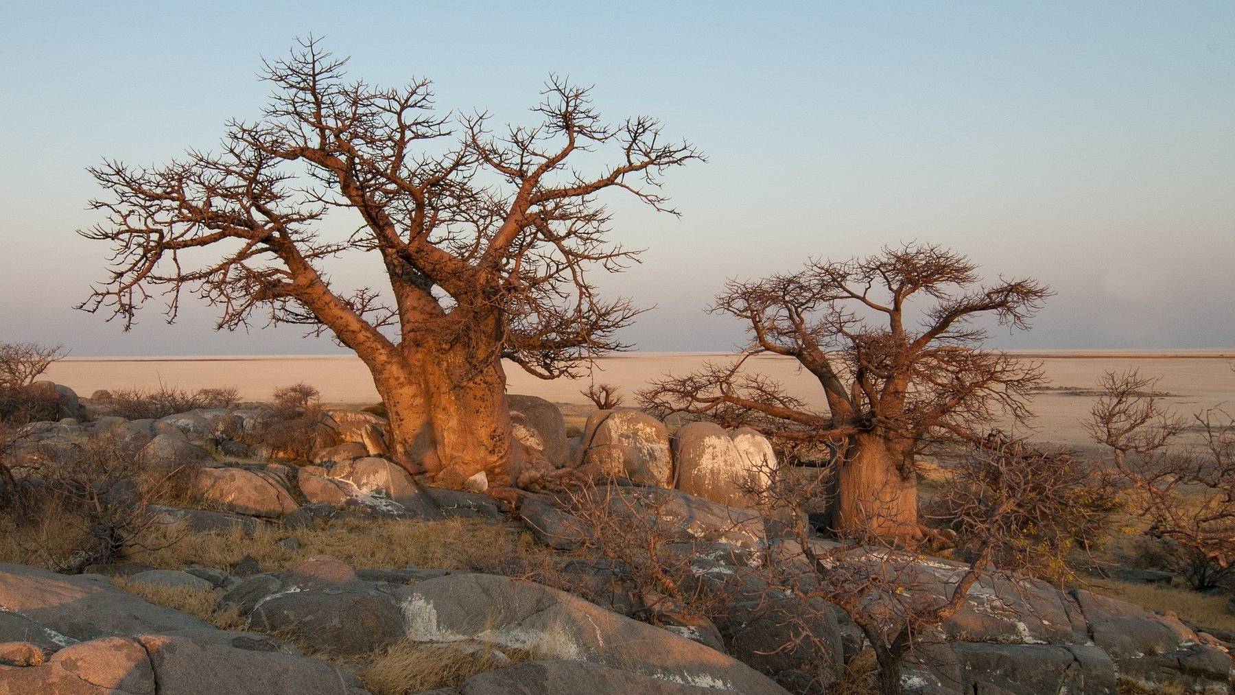 Botswana lockt mit einer ungewöhnlichen Kombination von Wüste und Flussdelta.
