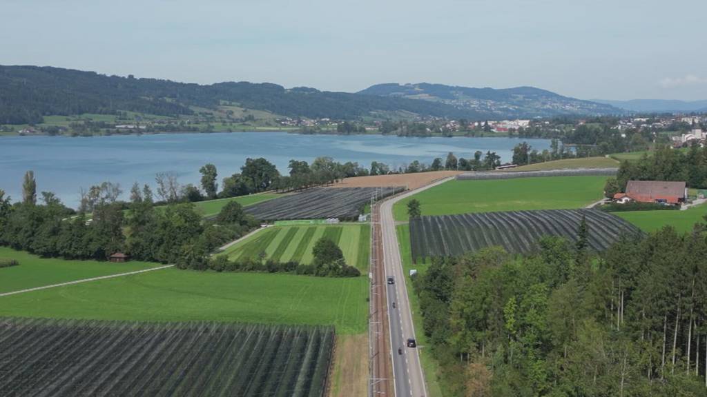 Toter bei Verkehrsunfall mit Zug