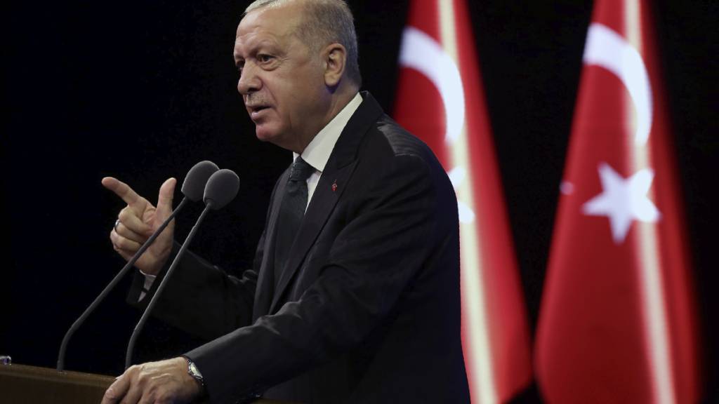 ARCHIV - Recep Tayyip Erdogan, Präsident der Türkei, spricht während eines Treffens. Foto: Pool/Turkish Presidency/AP/dpa