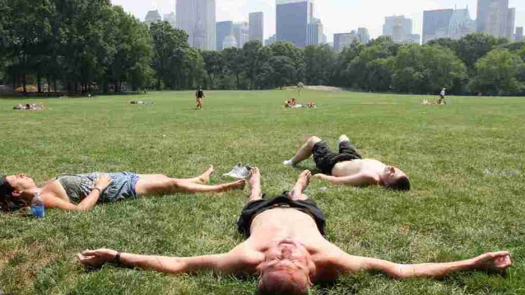 Bei prognostizierten 23. Grad liegt im Central Park in New York an Weihnachten schon fast ein Sonnenbad drin. (Archiv)