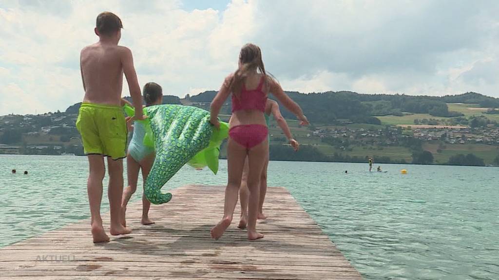 Kaiman-Hype: Vor 5 Jahren sorgte das angebliche Krokodil im Hallwilersee für Furore