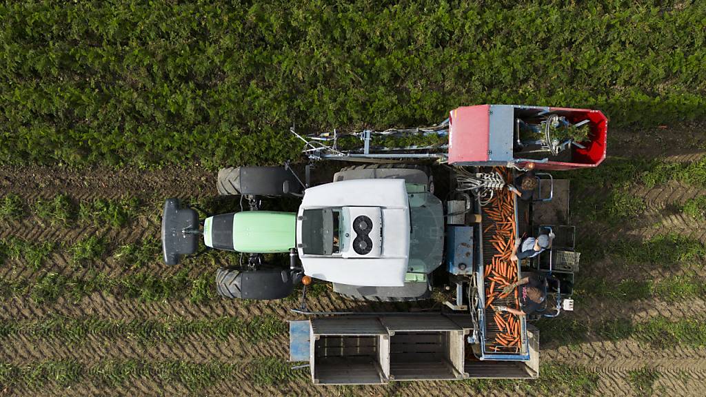 In der Schweizer Landwirtschaft gehen weniger Nährstoffe verloren