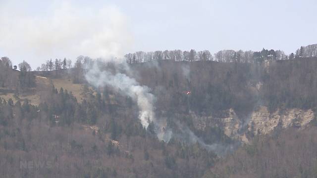 Schwieriger Waldbrand in Günsberg