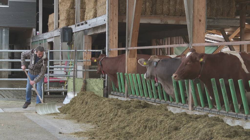 Hilfe für Thurgauer Bauern bei Verdacht auf Suizidgefahr