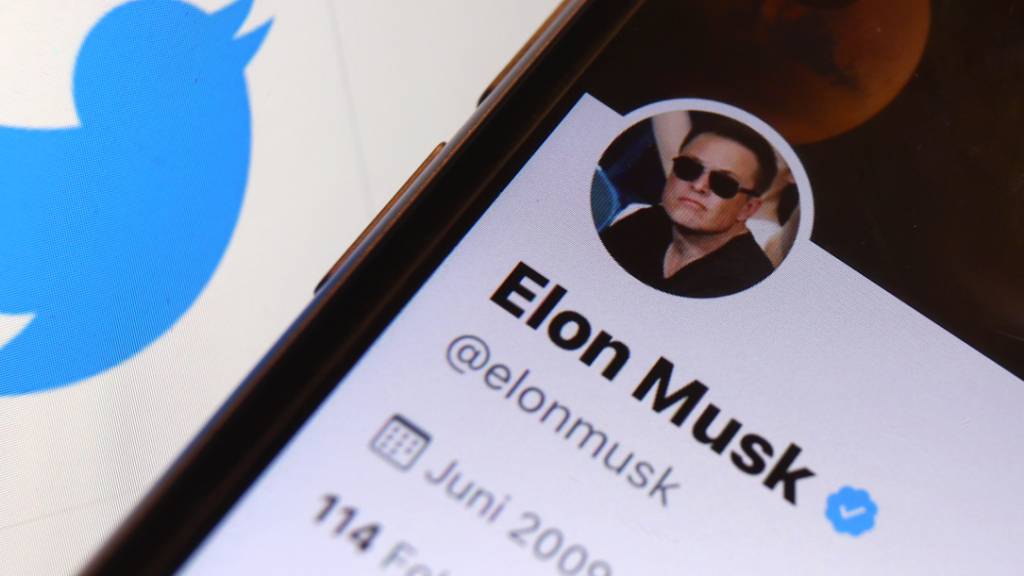 Die Nachrichten-Plattform Twitter lenkt im Streit um Auskunftsbegehren des US-Unternehmers Elon Musk ein. (Archivbild)