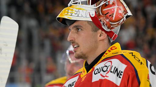 Van Pottelberghe von Biel zu Lugano