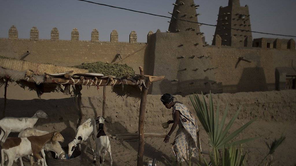 Eine Frau und ihre Ziegen vor der Djingareyber-Moschee in Timbuktu. (Archiv)