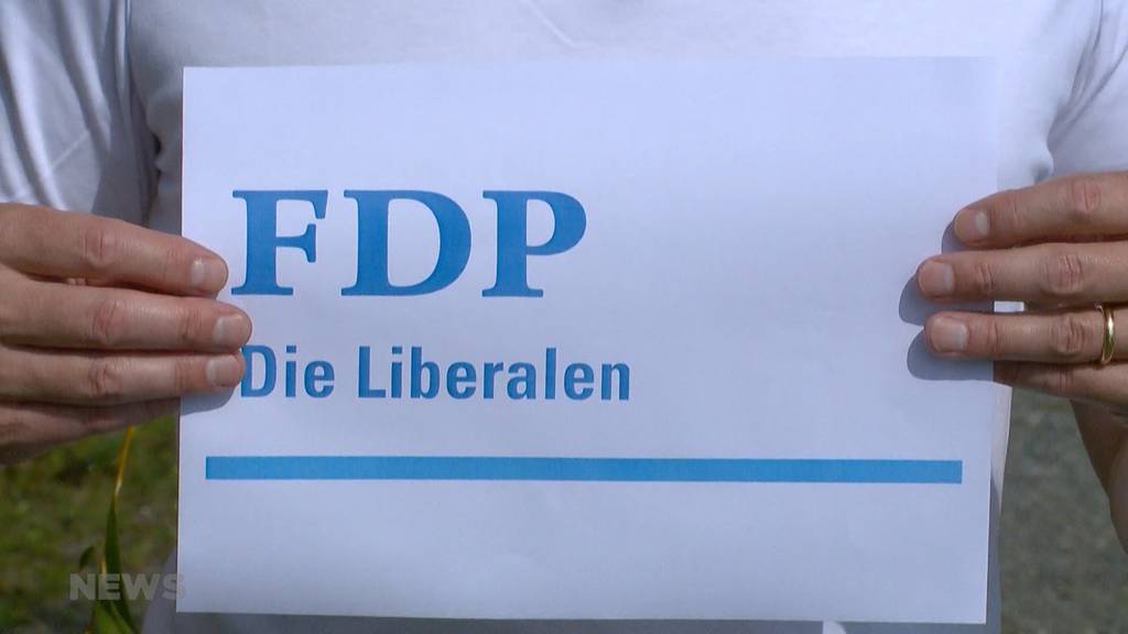 Bilanz der Legislatur-Halbzeit: FDP verliert Wahl um Wahl und ist seit dem gescheiterten CO2-Gesetz tief gespalten