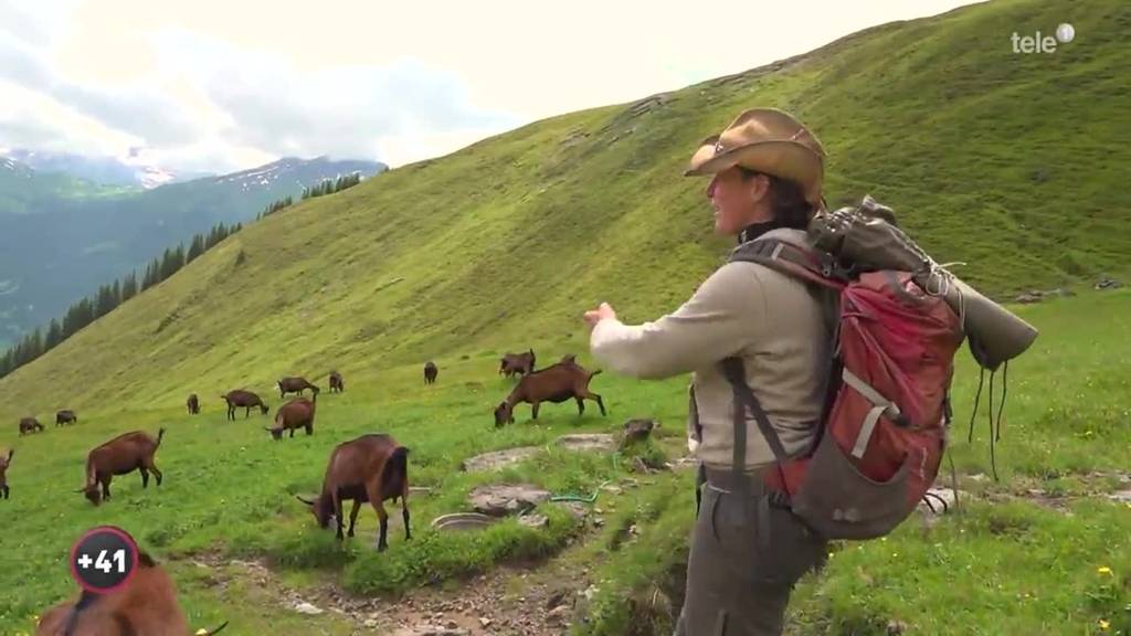 Alpsommer - Martina und ihre Ziegen