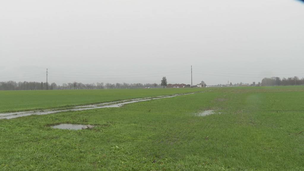 Auf Schwarzer Liste: Montlinger Firma im Visier der Ukraine