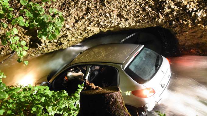 Junglenkerin stürzt über Wasserfall in den Gonzenbach