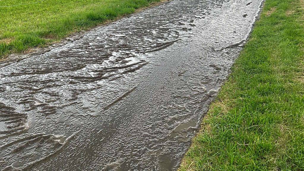 Die Gülle lief über eine Strasse in den Bach.