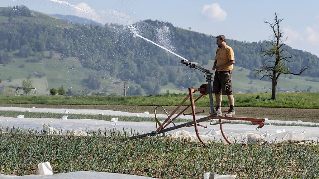 Ein Landwirt bewässert seine Gemüsefelder in Inwil: Der Kanton Luzern muss 27'500 Hektaren ackerfähiges Land erhalten. (Archivbild)