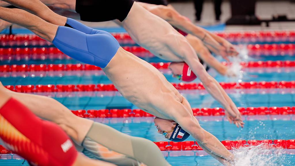 Léon Marchand (Mitte/blau) setzt am Kurzbahn-Weltcup in Singapur neue Massstäbe