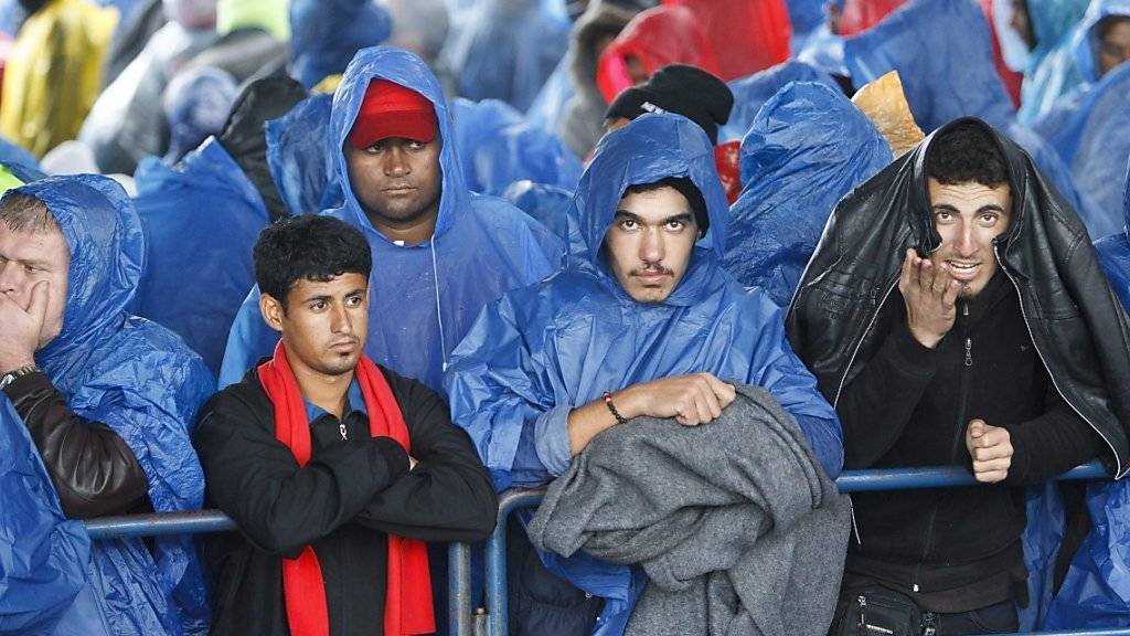 Flüchtlinge mit Regenschutz gesetern an der kraotisch-slowenischen Grenze