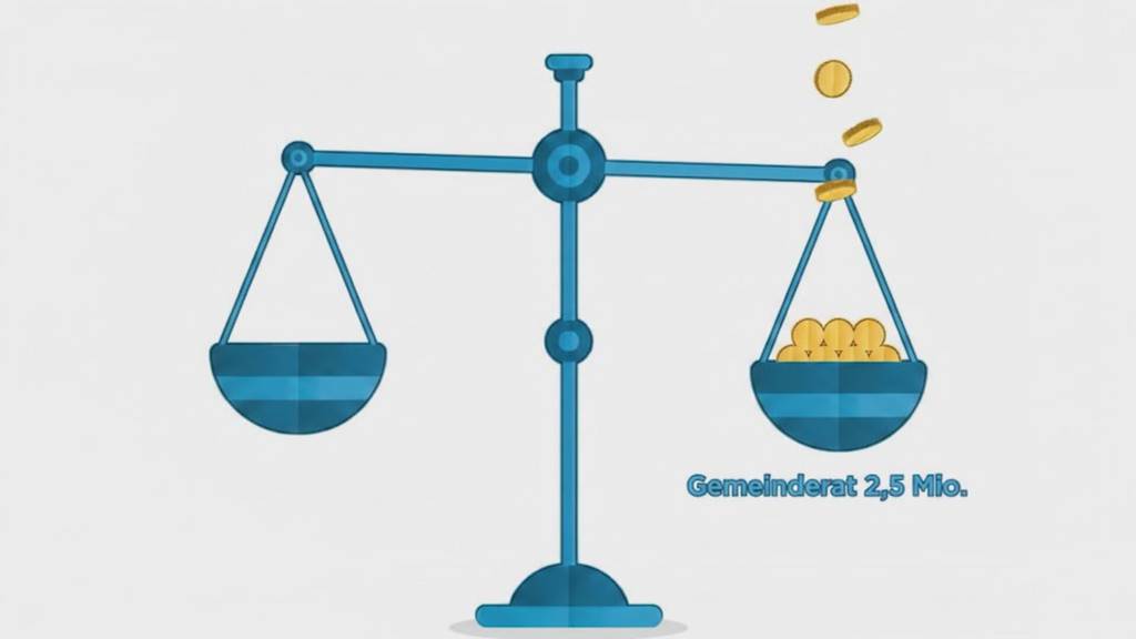 Kritik am Budget