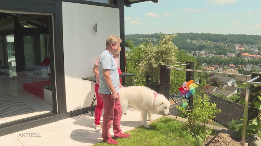 Krieg am Gartenzaun: In Niedergösgen dürfen sich Nachbarn nicht näher als 2 Meter kommen