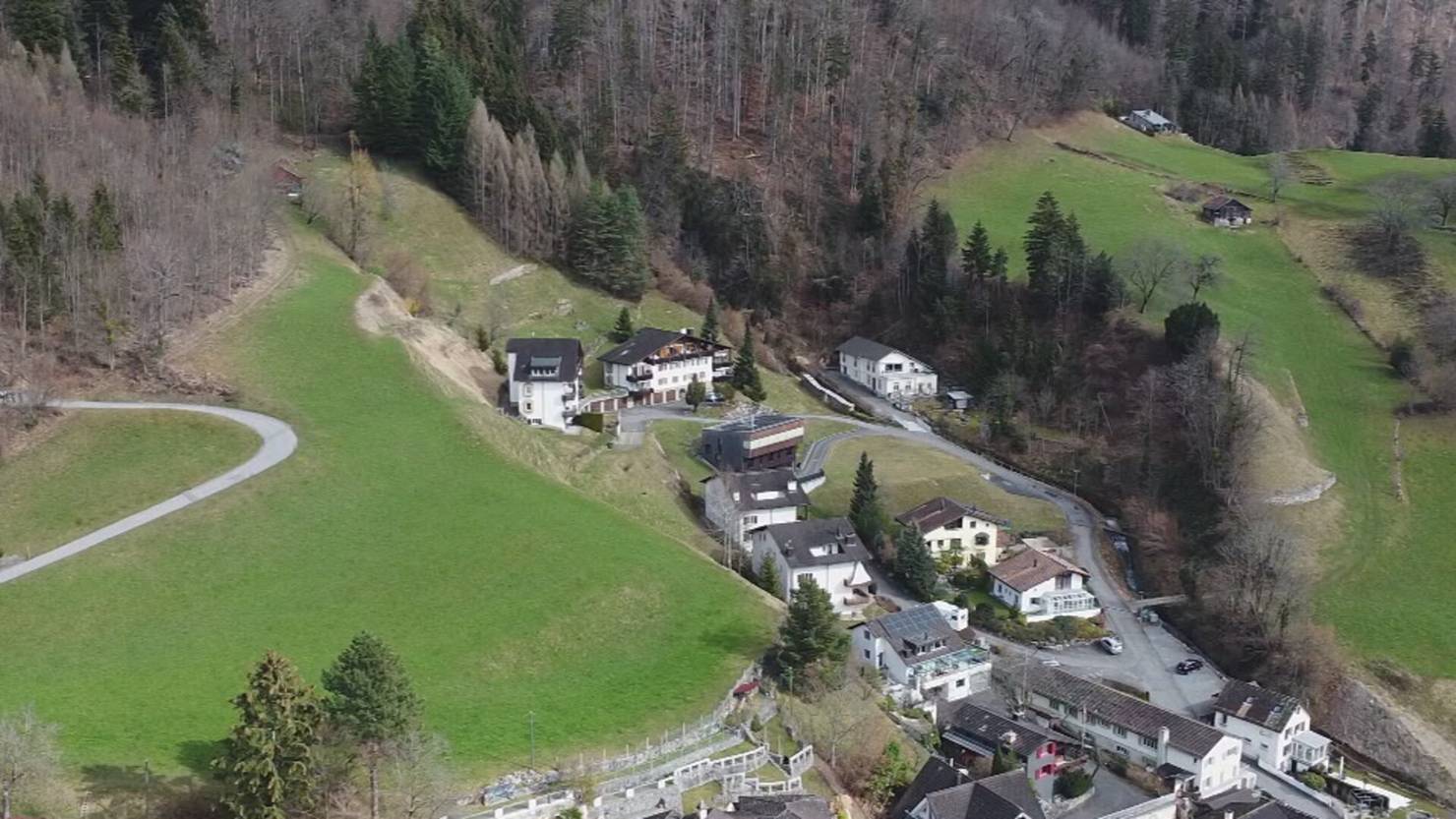 Angst vor dem Wolf: In Walenstadt reissen Raubtiere zwei Hirsche in ...