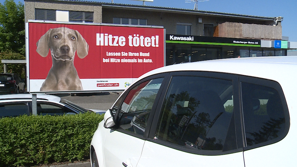 Hitze toetet - Todesfalle Auto 