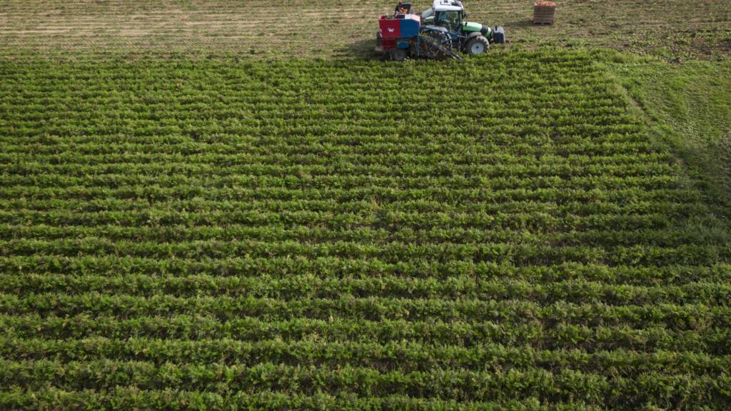 Der Thurgau untersucht ab 2026 Böden und Gewässer auf ihre PFAS-Belastung. (Symbolbild)