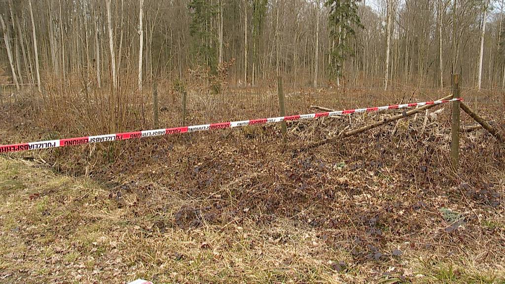 Bei Waldstück in Romanshorn (TG): Jugendliche orientierungslos aufgegriffen