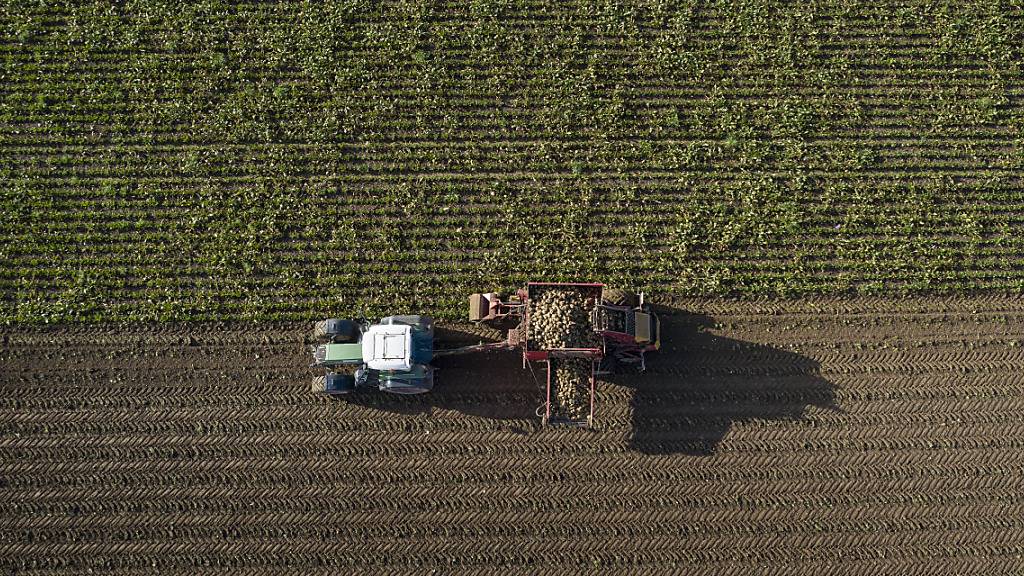 Aargauer Regierung beantragt Millionen-Kredit für Landwirtschaft