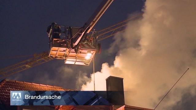 SwissNews