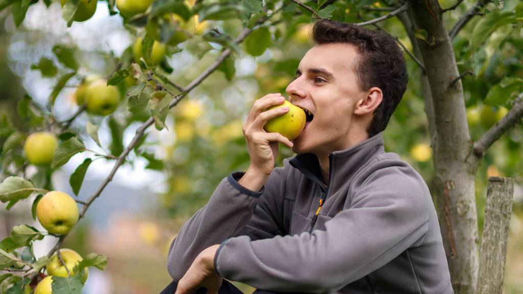 Darf man einfach Früchte vom Baum pflücken? 
