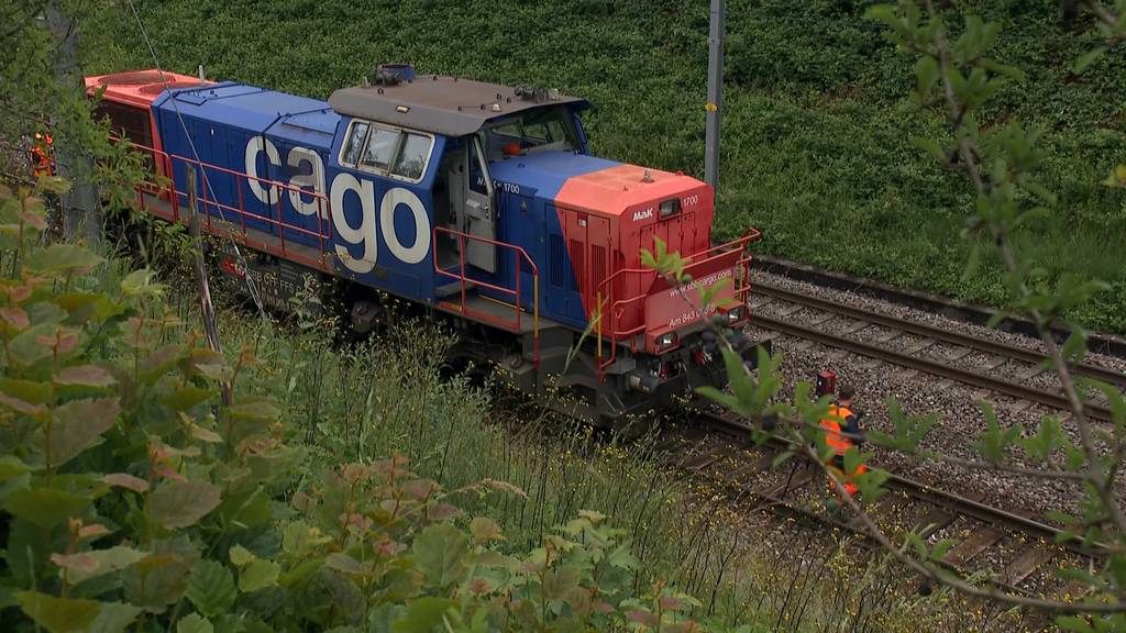 Tödlicher Bahnunfall in Birmensdorf: SBB-Arbeiter von Lokomotive erfasst