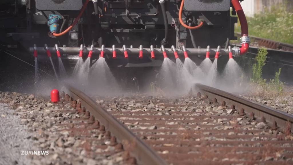 Hitze verformt Bahngleise – wie die SBB damit umgehen