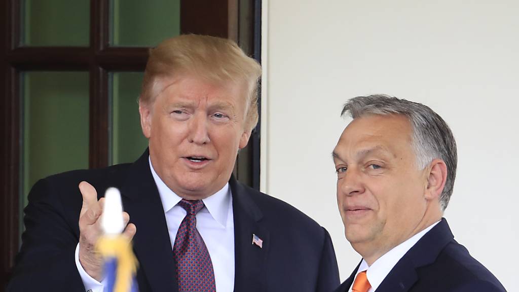 Donald Trump (l), damaliger Präsident der USA, begrüßt Viktor Orban, Ministerpräsident von Ungarn, am Weißen Haus. (Archiv)