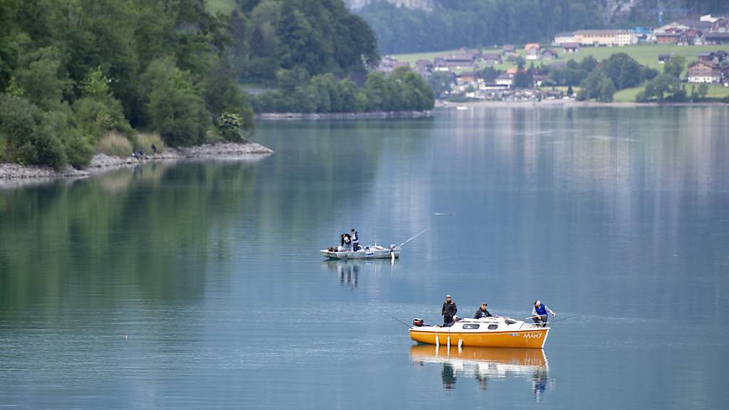 Die Energie-Initiative sieht unter anderem vor, ein Pumpspeicherwerk am Lungernsee zu prüfen. (Symbolbild)