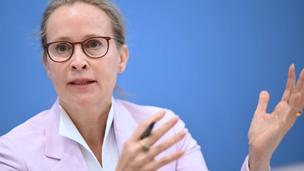 ARCHIV - Frauke Brosius-Gersdorf, Juristin, stellt den Abschlussbericht der Kommission zur reproduktiven Selbstbestimmung und Fortpflanzungsmedizin vor. Foto: Britta Pedersen/dpa