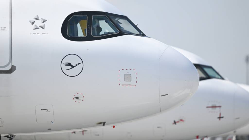 ARCHIV - Flugzeuge der Lufthansa und der Lufthansa CityLine stehen am Flughafen München. Als Reaktion auf hohe Kerosinpreise legt die Lufthansa erste Flugzeuge still. Foto: Sven Hoppe/dpa (Archivbild)
